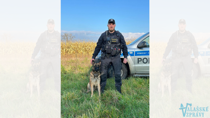 Policejní pes Kid vypátral ztraceného myslivce u Tlumačova