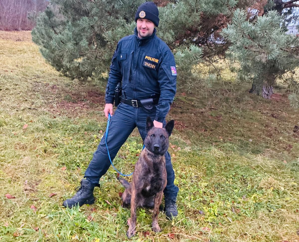 Policejní pes Ludvík našel ztraceného chlapce