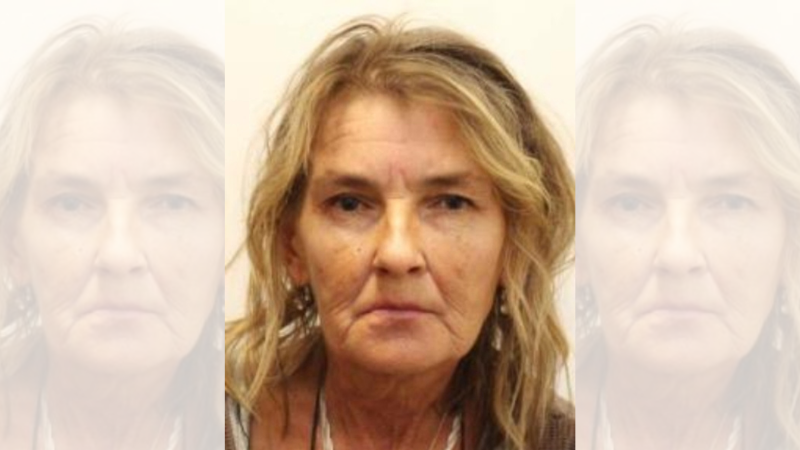 Policie pátrá po ženě ze Vsetínska, odešla na procházku